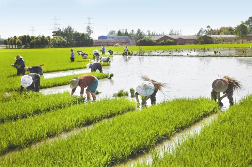 太和鎮(河南省南陽市社旗縣下轄鎮)