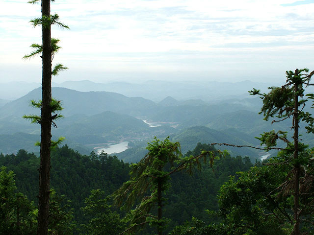 岐山-仙鵝嶺