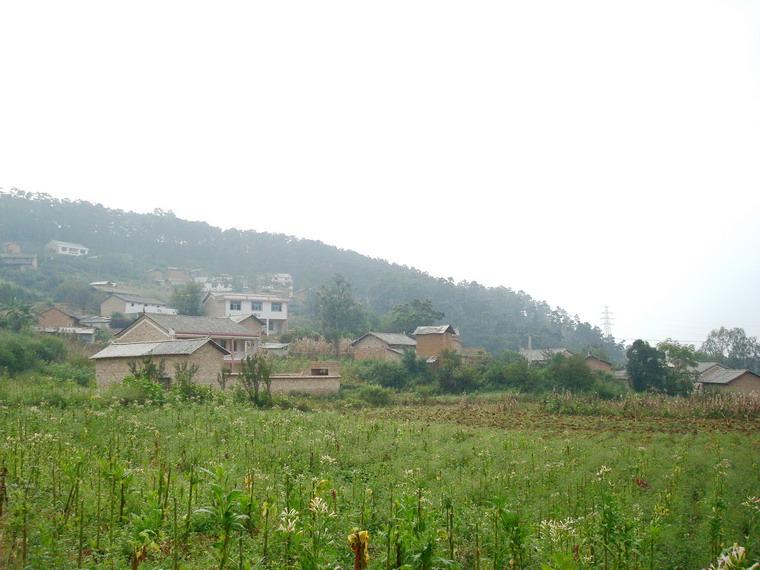 獅子山自然村(雲南文山縣開化鎮紅旗社區獅子山自然村)