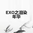 EXO之淚染年華