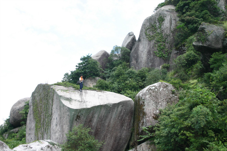 坪市蓮花山