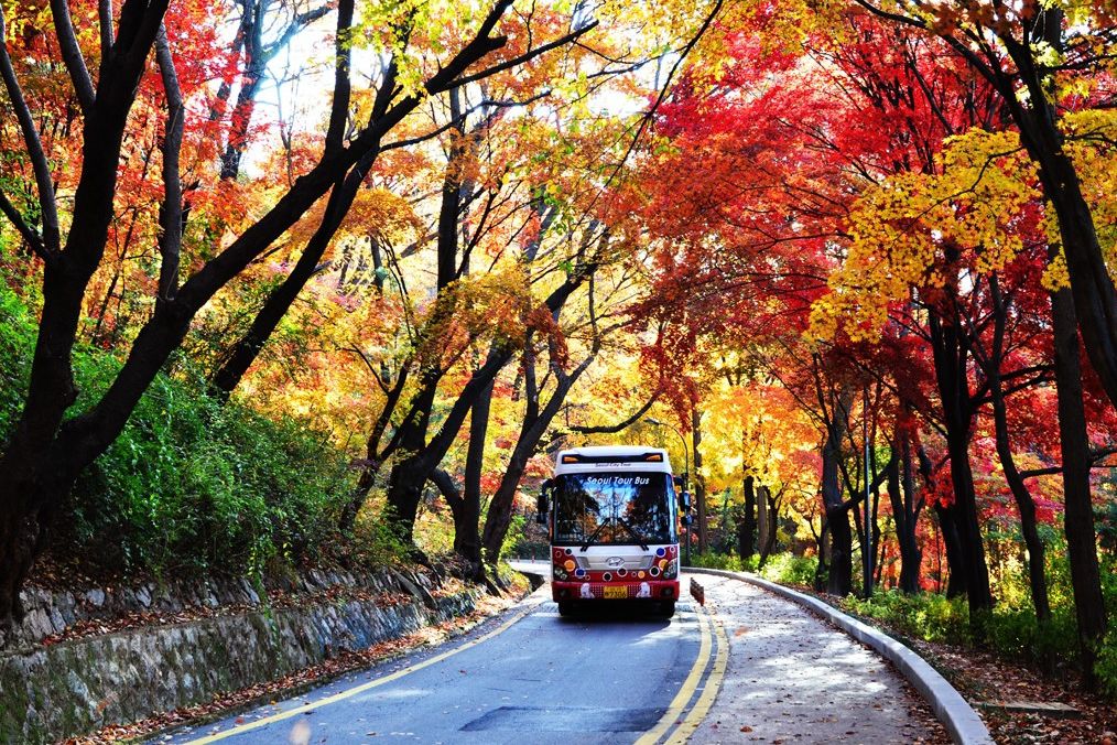 南山公園(重慶南山公園)