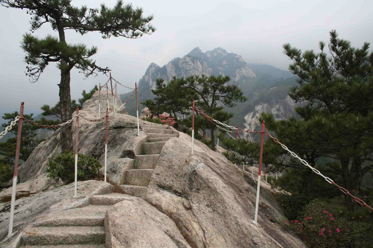 國務院關於大別山革命老區振興發展規劃的批覆