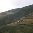 梅子樹自然村(雲南大理賓川縣平川鎮東升村委梅子樹自然村)