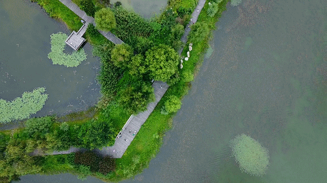 青龍湖濕地公園
