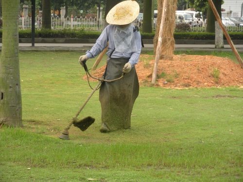 長沙園林草皮花木綠化公司