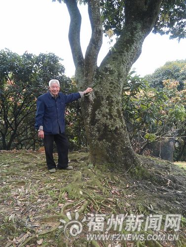 西埔村(福建福州市長樂區玉田鎮下轄村)