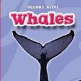 Whales(Bellwether Media出版的圖書)