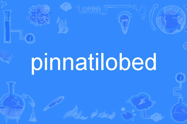 pinnatilobed