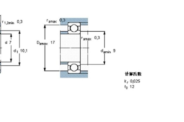 SKF W607軸承