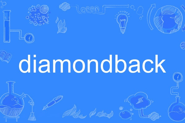 diamondback(英語單詞)