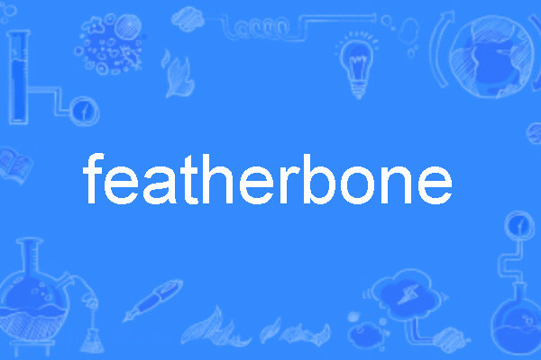 featherbone