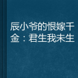 辰小爺的恨嫁千金：君生我未生