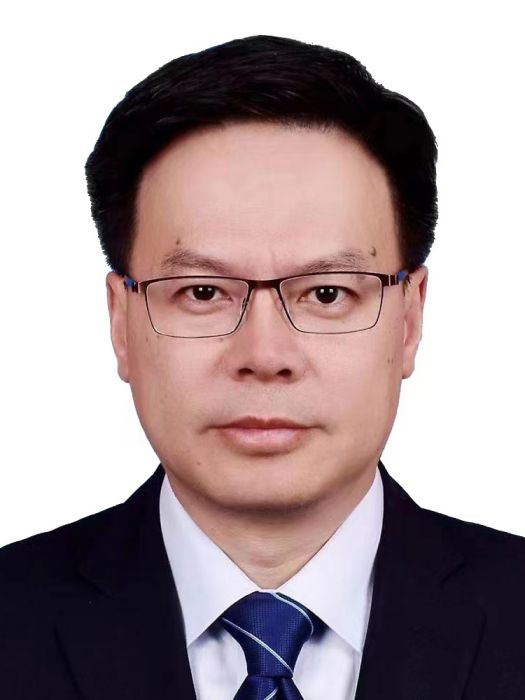 黃震(國網遼寧省電力有限公司董事長、黨委書記)