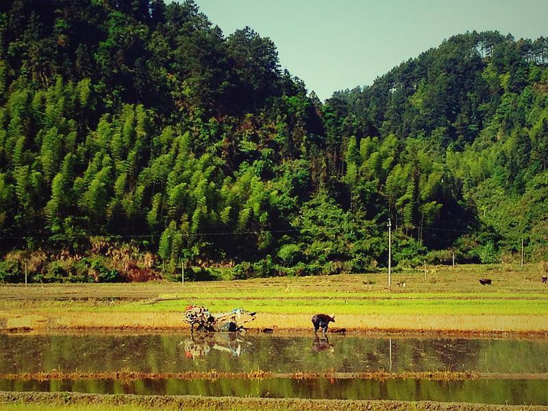 錢山鄉