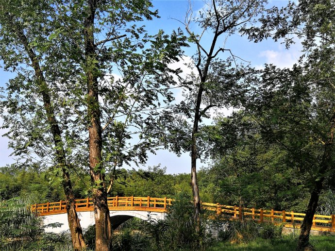 浙江麗水九龍國家濕地公園