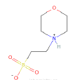 2-（N-嗎啉）乙磺酸一水物