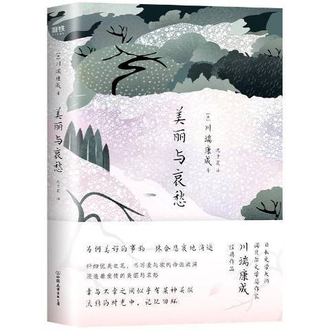 美麗與哀愁(2020年中國友誼出版公司出版的圖書)