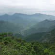 都昌縣南山風景區