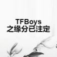 TFBoys之緣分已注定