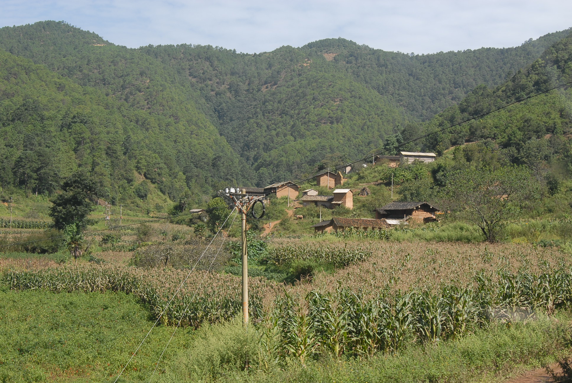 大栗樹村(雲南昆明市安寧市祿脿鎮下轄村)