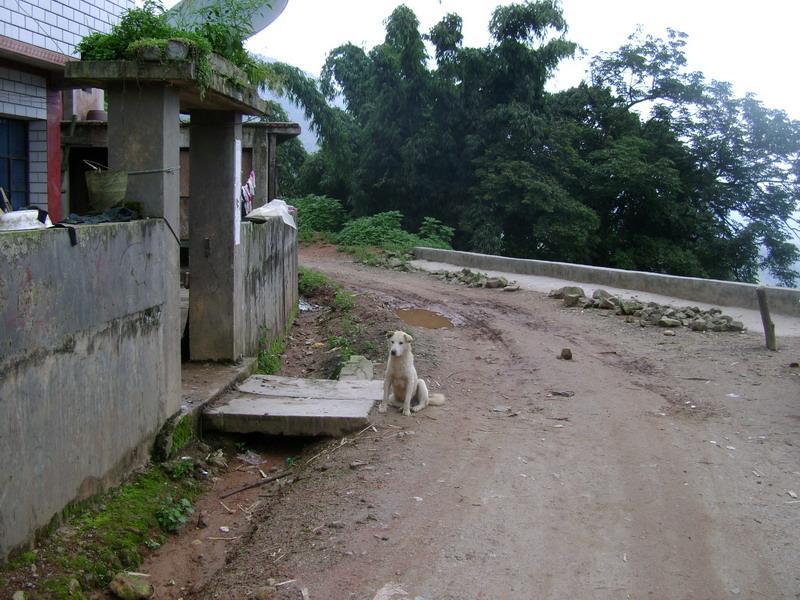 老永村