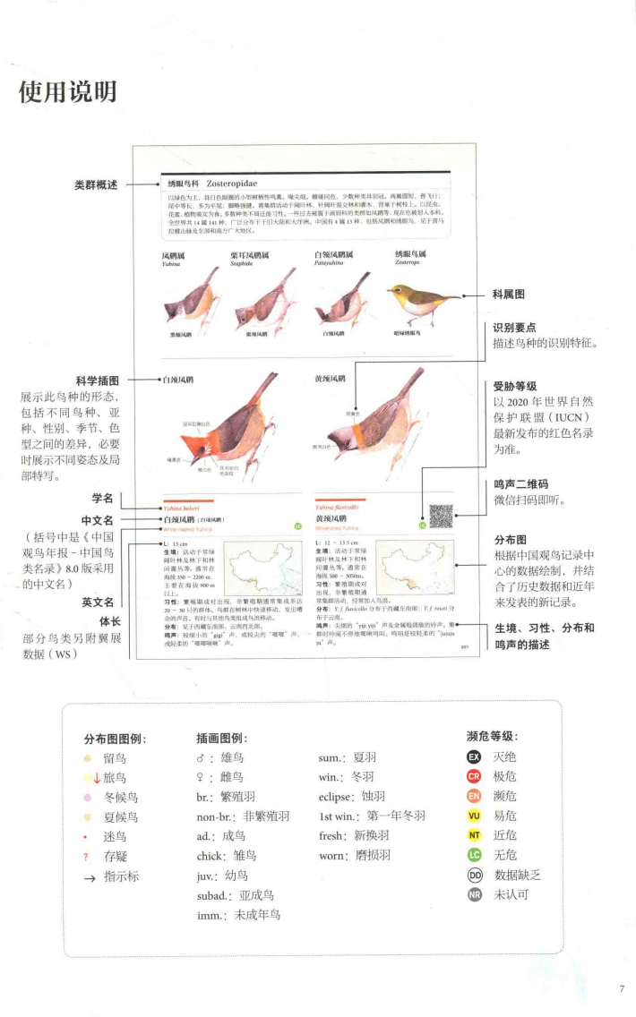 中國鳥類觀察手冊