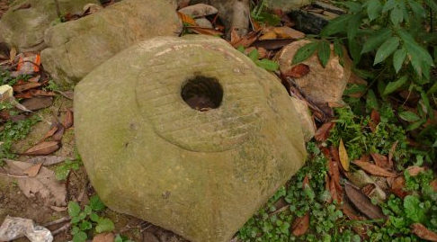 江西天花井國家森林公園(天花井國家森林公園)