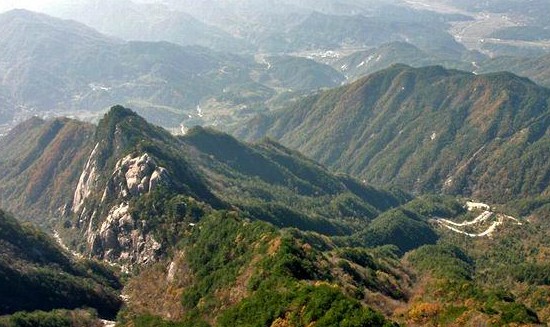 靈芝村(湖北省黃岡市英山縣南河鎮)