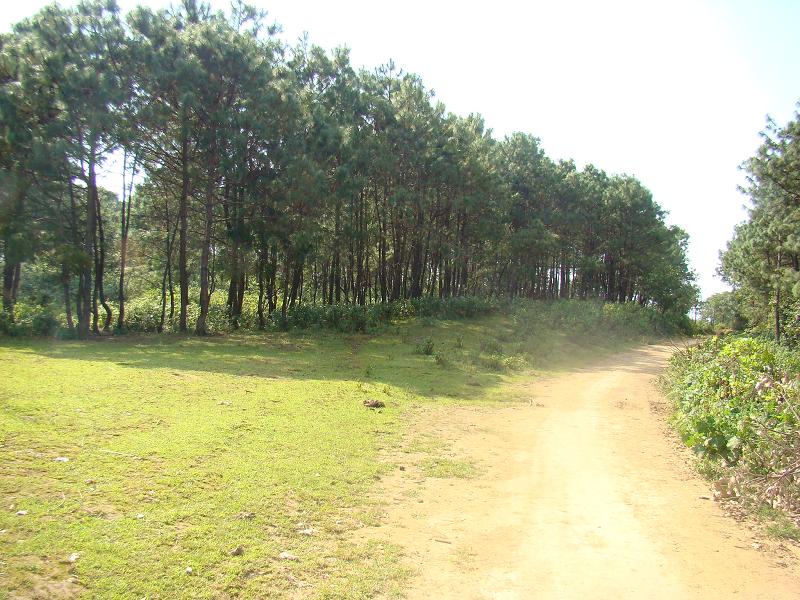 撒寨自然村通村道路