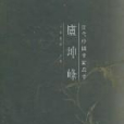 當代中國畫家叢書--盧坤峰