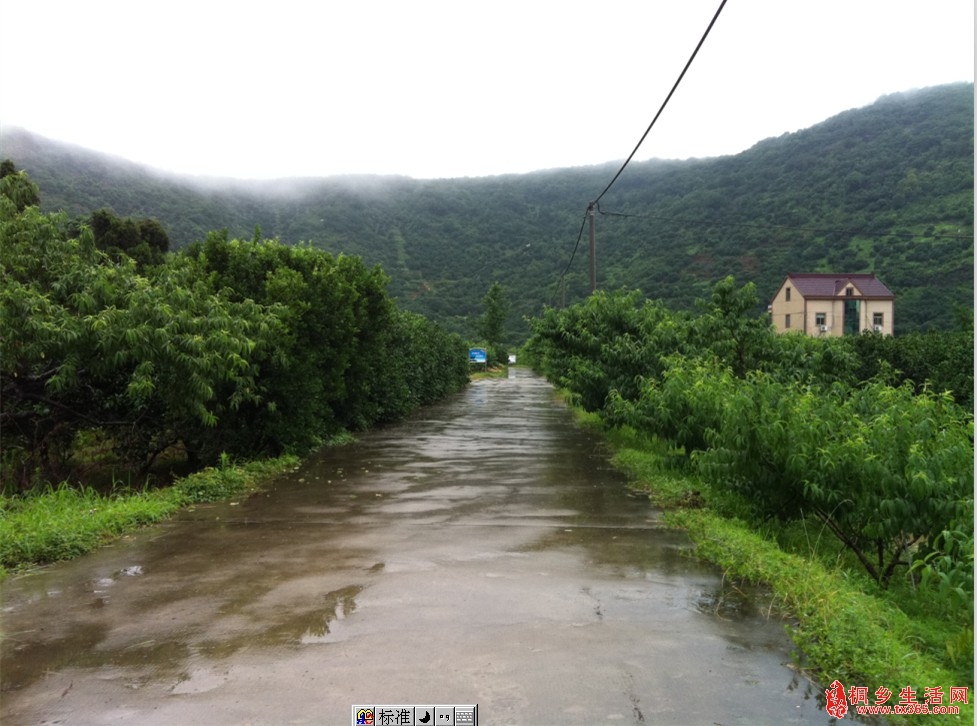 小尖山村(雲南省曲靖市會澤縣迤車鎮小尖山村)