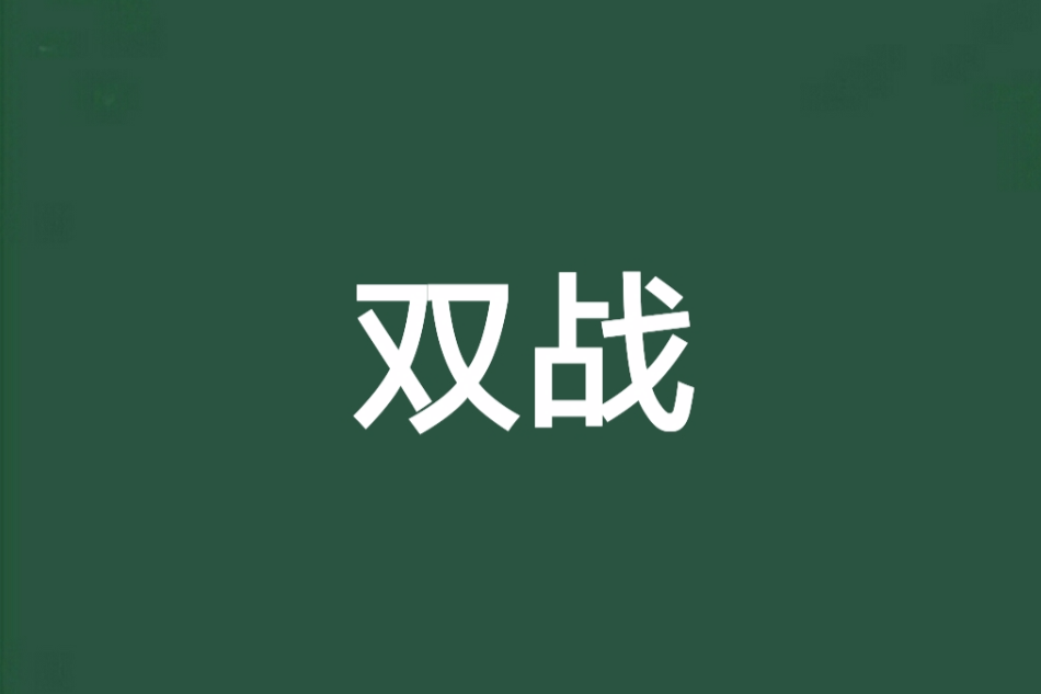 雙戰(小說)