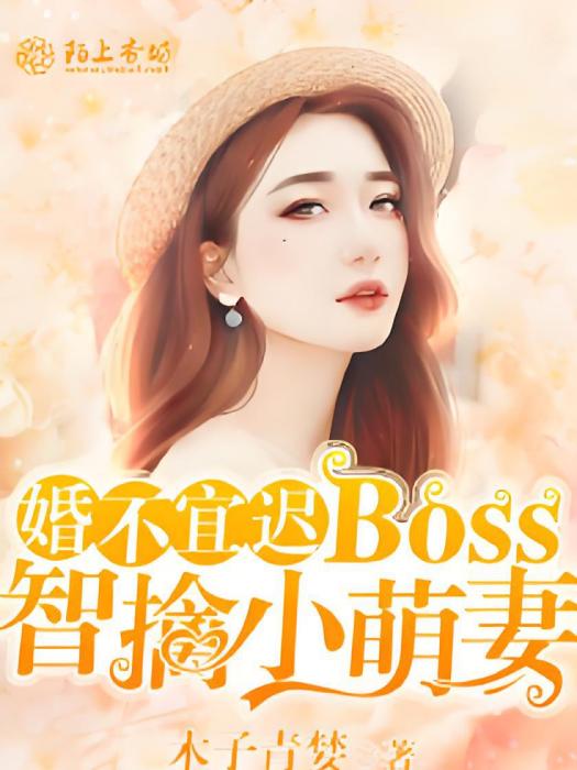 婚不宜遲：Boss智擒小萌妻