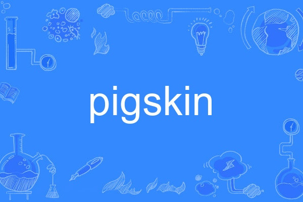 pigskin(英語單詞)