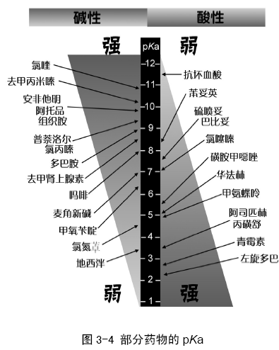 藥物跨膜轉運