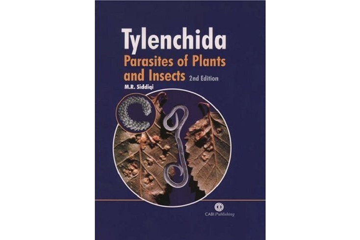 Tylenchida