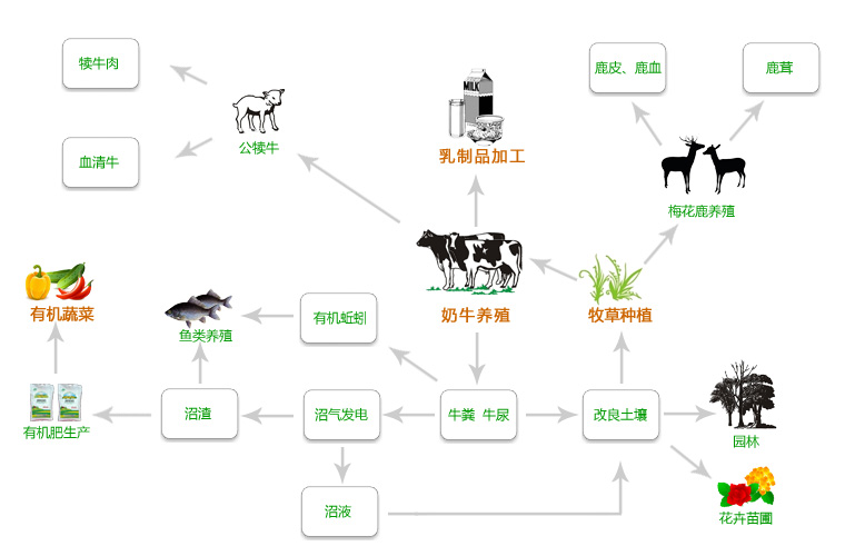 山東祥和乳業有限責任公司