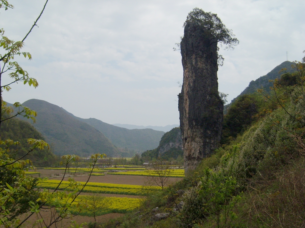 大池石筍