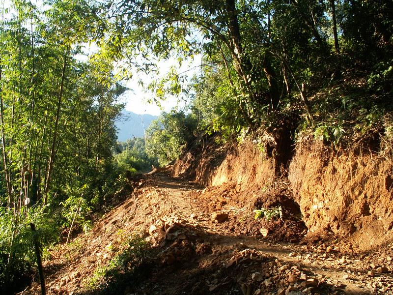 道水村村級道路差