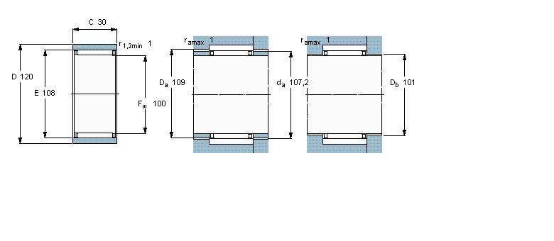 SKF RNAO100x120x30軸承