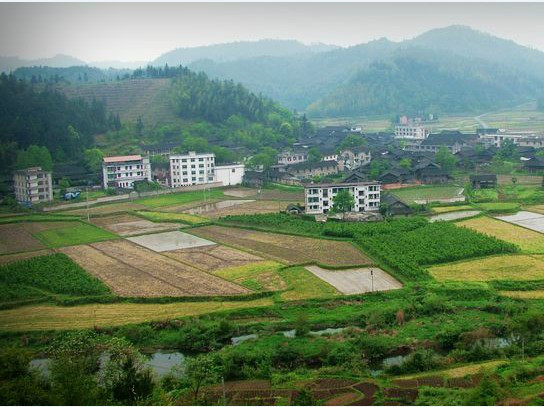 杉木橋鄉(湖南懷化市通道縣杉木橋鄉)