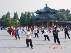 楊氏太極拳56式