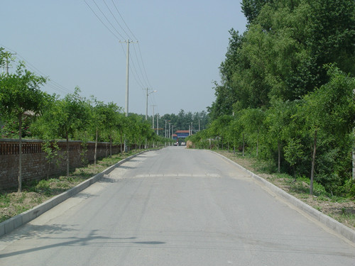 唐家堡村(北京市延慶縣延慶鎮下轄村)