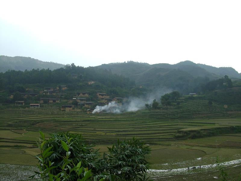 田野