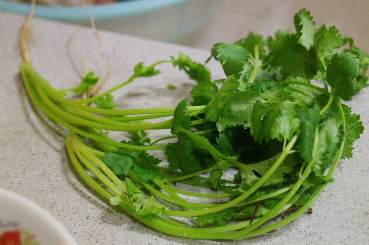 豆腐田雞湯