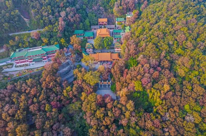 廣東圭峰山國家森林公園