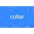 collar(英語單詞)