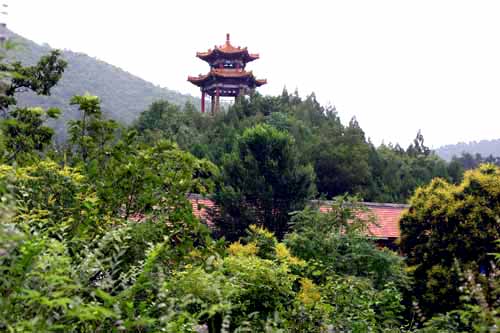 天津九龍山國家森林公園(九龍山國家森林公園（天津薊縣九龍山國家森林公園）)