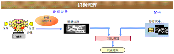 手指靜脈識別流程